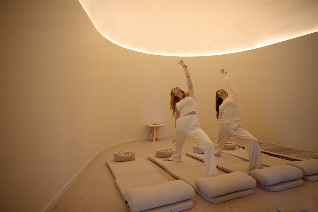 Understanding the Conversation Between the Mind and Body