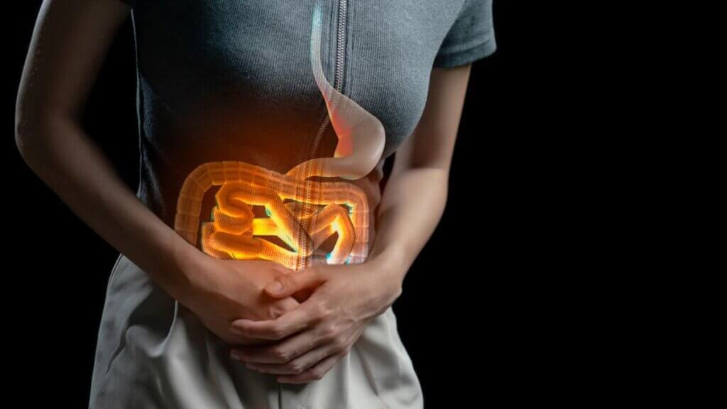 What is microbiome in the gut